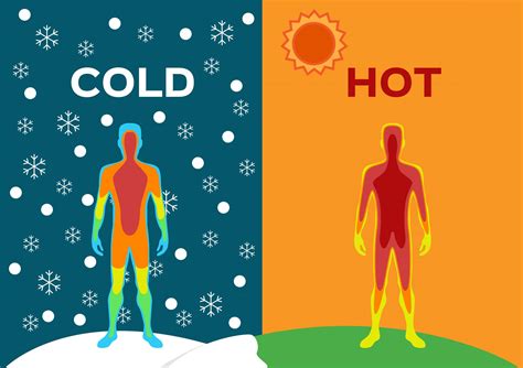 what makes body heat